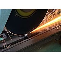 レヂトン 金の卵 405X2.5X25.4 AZ36P 1セット(5PC)（直送品）