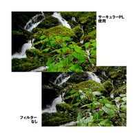 ハクバ写真産業 XCーPRO エクストリーム サーキュラーPLフィルター 67mm CF-XCPRCPL67 1個 62-9760-17（直送品）