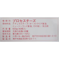 六甲バター [冷蔵] 型抜き チーズ 15g×40個×2個 4903308016956 1セット(2個)（直送品）