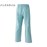 日の丸繊維 女性ズボン クリーンルーム サックス 5L 65-1702-13 1着（直送品）