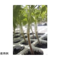 アズワン グラフトチューブ Φ2.3mm L:12mm 1000個入 65-2494-58 1袋(1000個)（直送品）