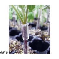 アズワン グラフトチューブL Φ1.8mm L:12mm 1000個入 65-2494-59 1袋(1000個)（直送品）