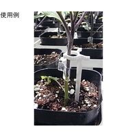 アズワン ツマミ付グラフトチューブ Φ1.4mm L:10mm 1000個入 65-2494-62 1袋(1000個)（直送品）