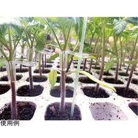 アズワン サポート付グラフトチューブ Φ1.7mm L:10mm 1000個入 65-2494-66 1袋(1000個)（直送品）