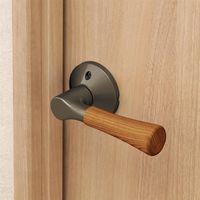 マツ六 リフォーム用レバー錠 木製通路用 アンバー 8588400 1個（直送品）