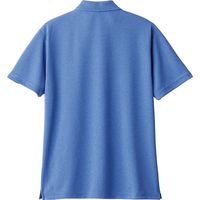 トムス ドライポロシャツ ミックスブルー L 00302-ADP-902-L 1セット(2枚)（直送品）