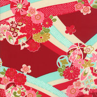 アンドウ絞りバッグ　ＨＡＭー１８1630290-0000  4Red（直送品）