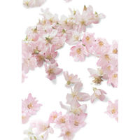 アンドウ絞りバッグ　ＨＡＭー１５1630287-0002  2Cherry Flowers（直送品）