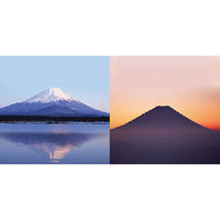 アンドウ絞りバッグ　ＨＡＭー１５1630287-0008  8Mount Fuji（直送品）