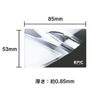 EPIC ICカード IC-CARD 1セット(12個)（直送品）