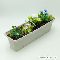 【園芸用品】 グリーンパル テラスプランター 長方形 60cm ミントブルー 1個