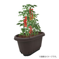 【園芸用品】 グリーンパル エアスリットプランター 32L トレー付 チョコブラウン 1個