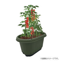 【園芸用品】 グリーンパル エアスリットプランター 32L カーキ 1個