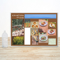 プラス カードケース ハードタイプ（再生PET仕様） A1 614×868mm 薄型 業務用パック 1箱（10枚入） 34461