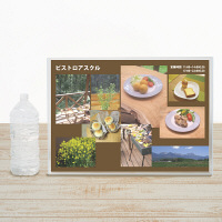 プラス カードケース ハードタイプ（再生PET仕様） A2 435×610mm 薄型 業務用パック 1箱（10枚入） 34462