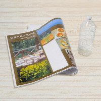 プラス 再生カードケース ソフトタイプ A1 608×859mm 薄型 業務用パック 1箱（10枚：5枚入×2箱） 34430