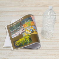 プラス　再生カードケース　ソフトタイプ　A2　430×608mm　薄型　業務用パック　1箱（10枚：5枚入×2箱）　34431