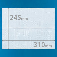 【おしりふき】【トイレに流せる】【大人用/流せる】花王 リリーフ(R) トイレに流せるおしりふき 本体　1個(24枚入)