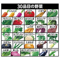 【非常食】 カゴメ 野菜一日これ一本 長期保存用190g 3014 5年6か月保存　防災備蓄 1セット（5缶：1缶×5）