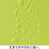 ボックスファイル組み立て式　A4ヨコワイド　5冊　PP製　グリーン　セリオ