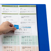 アスクル　名刺用ポケット　A4　30穴両面タイプ　200枚　名刺ファイル用ポケット  オリジナル