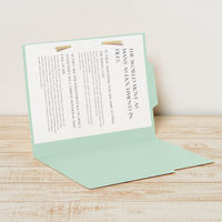 プラス 個別フォルダーラテラルA4ーEベーシック ブルー 87465 1セット(1枚×100)（直送品）