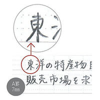 ナカバヤシ　ロジカルノート・A4・A罫・ピンク　no-A402A-P　1セット(10冊：1冊×10)　（直送品）
