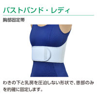 アルケア バストバンド・レディ S 16843 1個