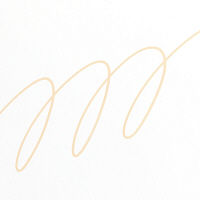 ポスカ 中字 うすだいだい PC5M.54 水性マーカー 三菱鉛筆（uni）