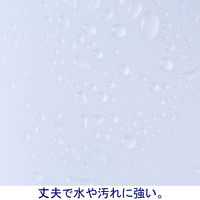 ボックスファイル組み立て式　A4タテ　3冊　PP製　クリア　セリオ