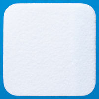 アルケア エスアイエイド 5号（10×10cm） 18752 1箱（50枚入）