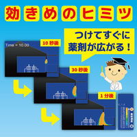 虫コナーズ ベランダ用 吊るすタイプ 窓 虫よけ プレート 150日 虫除け ネット 防虫剤 1セット（10個：1個×10）大日本除虫菊