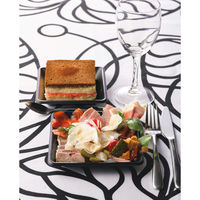 中央化学　SDstyle　フラットスクエア　140mm　本体　1セット（200枚：50枚入×4袋）