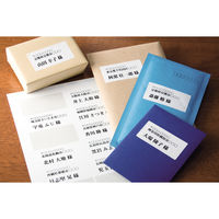 エーワン（A-one）ラベルシール PPCラベル 表示・宛名ラベル レーザー 封筒 シール A4 ノーカット 500シート 徳用 28762