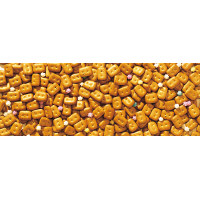 【非常食】三立製菓　ホームサイズカンパン　475g　5年保存　1個