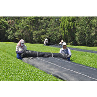 JAかごしま茶業　ちらん茶畑　午後3時　1袋（300g入）