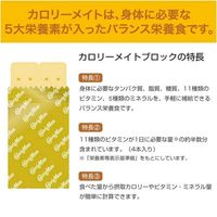 大塚製薬　カロリーメイトブロック5種アソートパック　1ケース（20箱入）  オリジナル