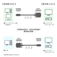 Vodaview　変換ケーブル　HDMI[オス]-DVI-D18ピン[オス]　3m/ブラック　VV-HDDV030CA-B