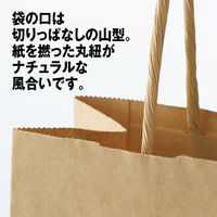 丸紐クラフト紙手提袋薄型エコノミー260×280×100 茶 1箱（300枚：50枚×6袋）