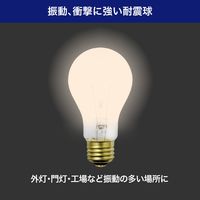 朝日電器　耐振電球100W　EVP110V100WA60C