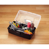 JEJアステージ　オールインパワー350　ブラック　　1個