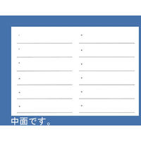 イムラ封筒　心電図台紙　大　EFF005　1袋(100枚入)