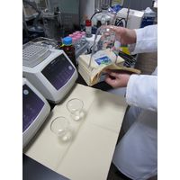 【ペーパーウエス】 大王製紙 プロワイプソフトタオル末晒／帯どめ50枚 703523 1束（50組入）