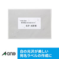 エーワン（A-one）ラベルシール パッケージラベル 光沢フィルム インクジェット シール ステッカー A4 透明 65面 10シート  28974