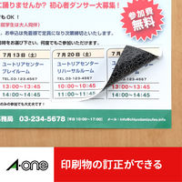 エーワン（A-one）ラベルシール 下地が隠せて透かしても読めない プリンタ兼用 封筒 シール  A4 ノーカット 50シート 徳用 31660