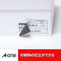 エーワン（A-one）ラベルシール 下地が隠せて透かしても読めない プリンタ兼用 封筒 シール ステッカ― A4 12面 12シート  31665