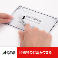 エーワン（A-one）ラベルシール 下地が隠せて透かしても読めない プリンタ兼用 封筒 シール ステッカ― A4 46面 12シート  31671