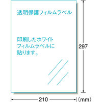 エーワン 自分で作るステッカー 耐水耐光 強粘着 インクジェット 光沢フィルム 白 A4 ノーカット1面 1袋（2セット入） 81025（取寄品）