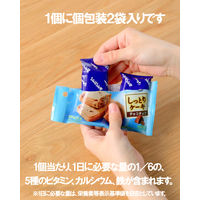 おからだから チョコチップ 1セット（1個（2袋入）×10） 栄養調整食品 グリコ