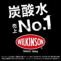 アサヒ飲料　ウィルキンソンタンサン　250ml　1セット（40缶）